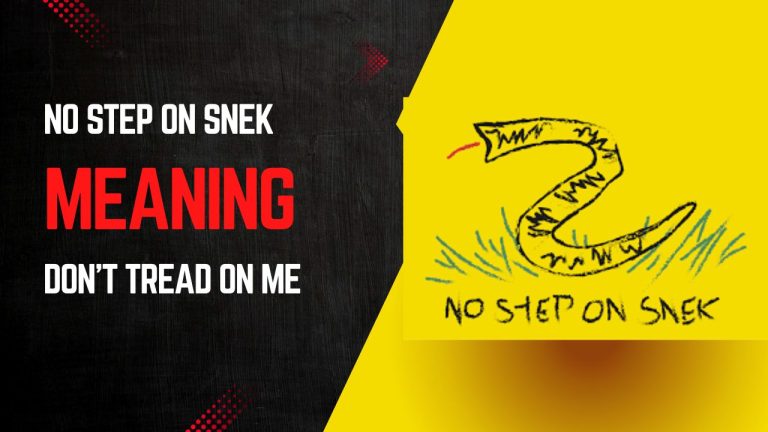 No Step On Snek MEANING
