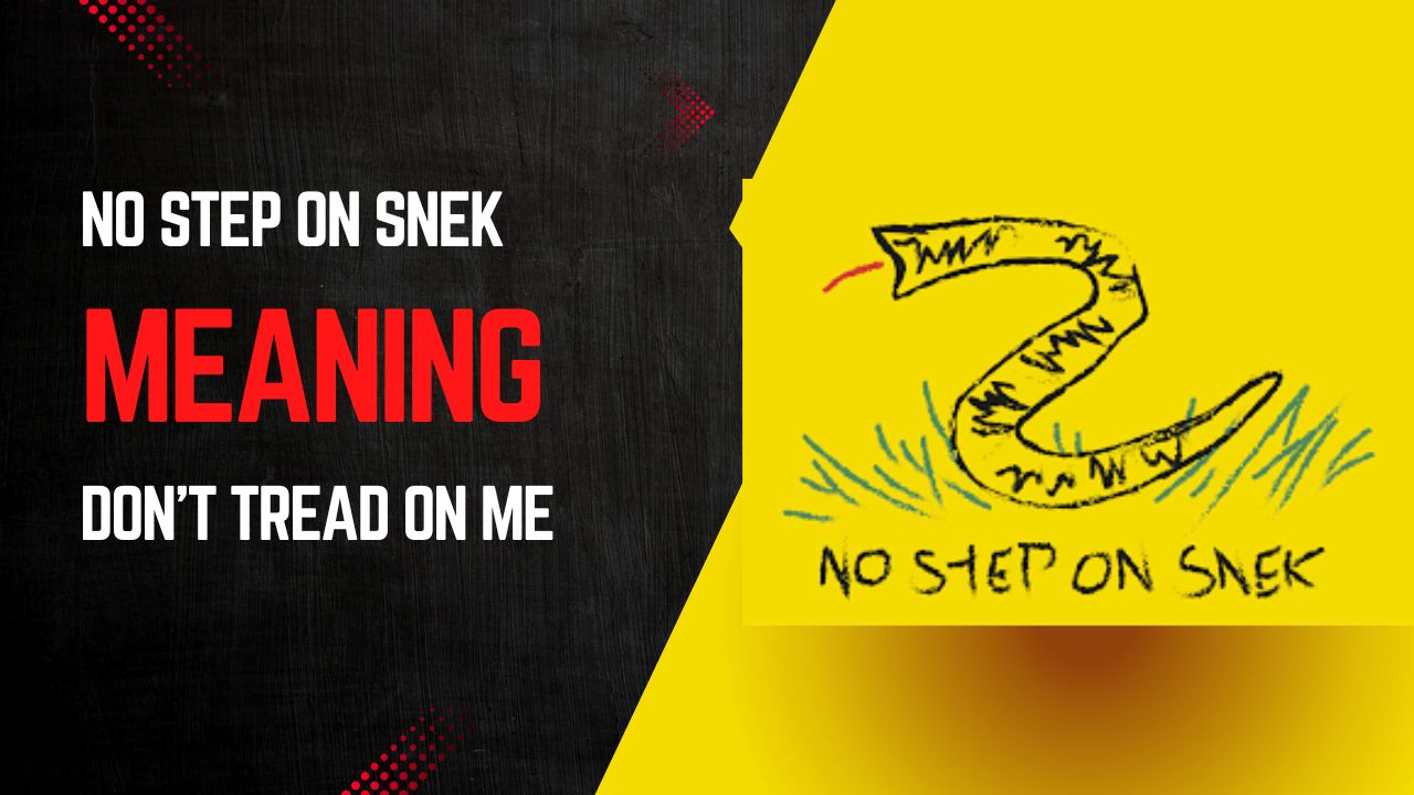 No Step On Snek MEANING
