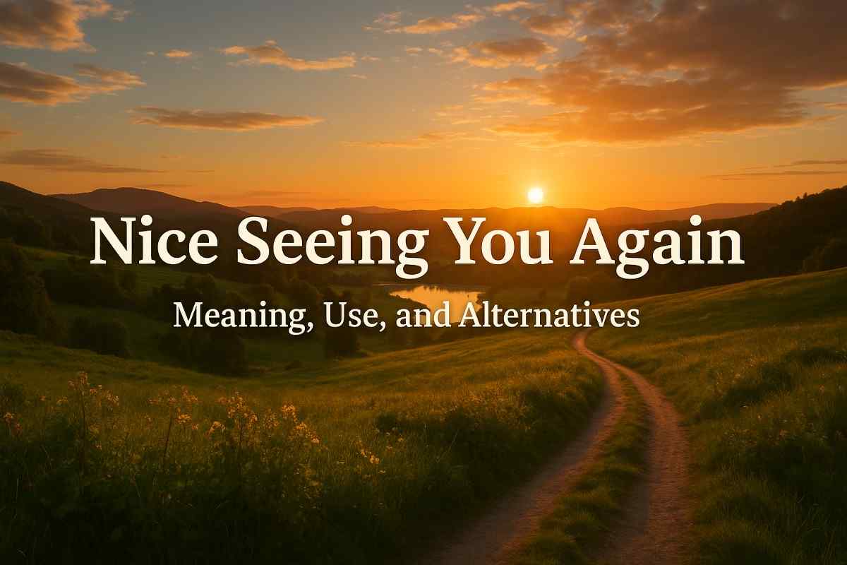 Nice Seeing You Again – Meaning, Use, and Alternatives
